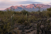 18th Jan 2024 - Tucson and the Catalina Mountains