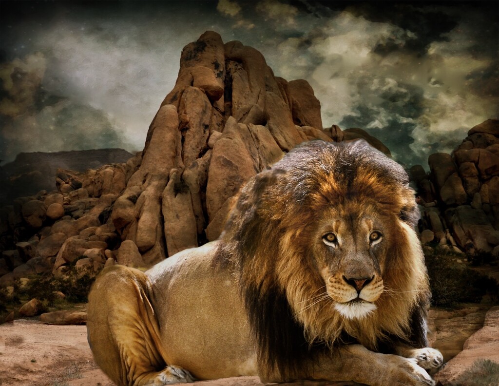 The Lion Sleeps Tonight by joysfocus