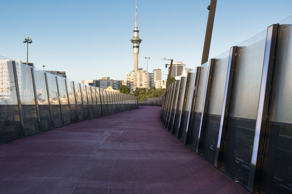 Sky tower and pink path by dkbarnett