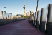 19th Jan 2024 - Sky tower and pink path