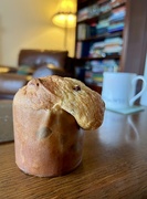 26th Jan 2024 - There’s a pooch in my Panettone! 