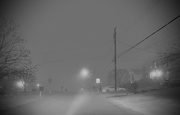26th Jan 2024 - Dense Fog