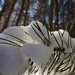 Melting snow by valpetersen