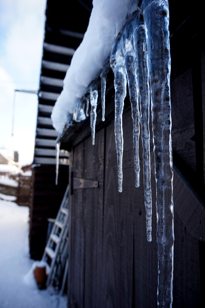Icicles from the shed roof by valpetersen