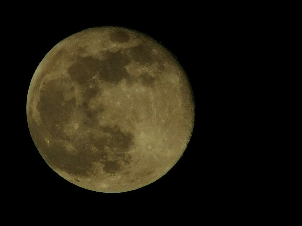 Full Moon 26/1/2024 by 365anne