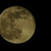 Full Moon 26/1/2024 by 365anne