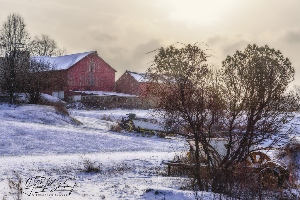 Winter day on a working farm by ggshearron
