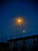 26th Jan 2024 - Orange Moon