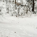 Lots of snow on walking path by larrysphotos