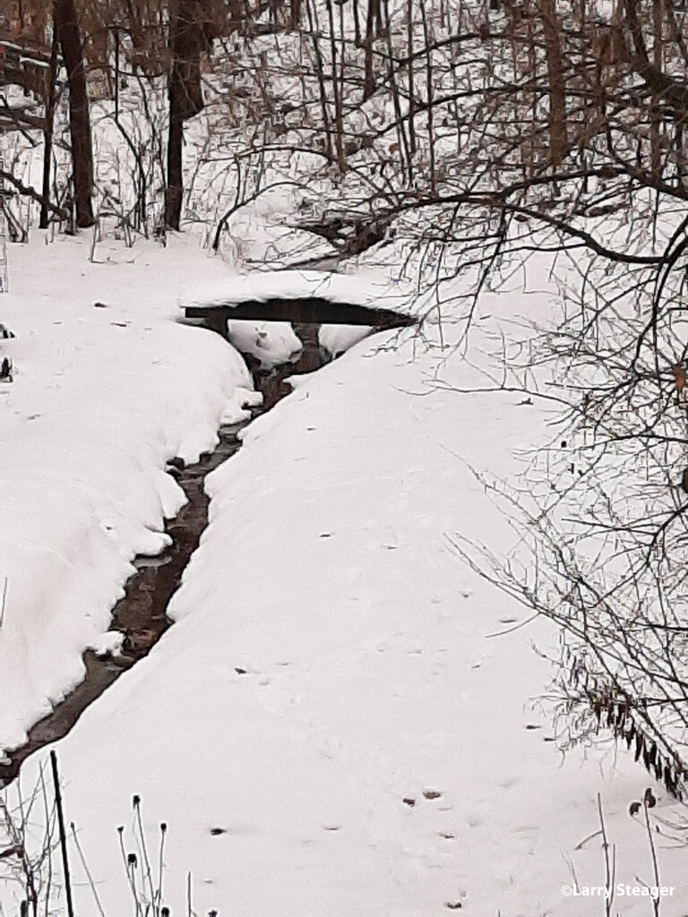 Snow on the bridge by larrysphotos