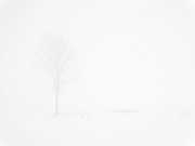 26th Jan 2024 - Fog and snow