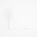 Fog and snow by okvalle