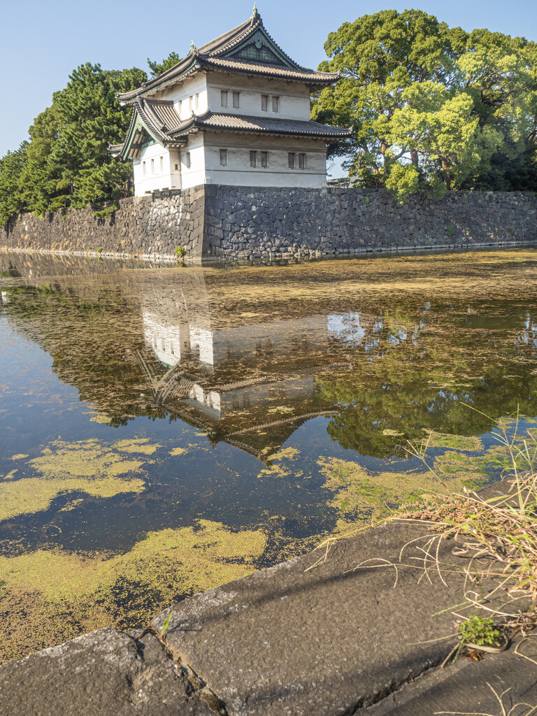 Around the Imperial Palace. Tokyo. by ianjb21