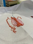 27th Jan 2024 - Embroidery unscripted