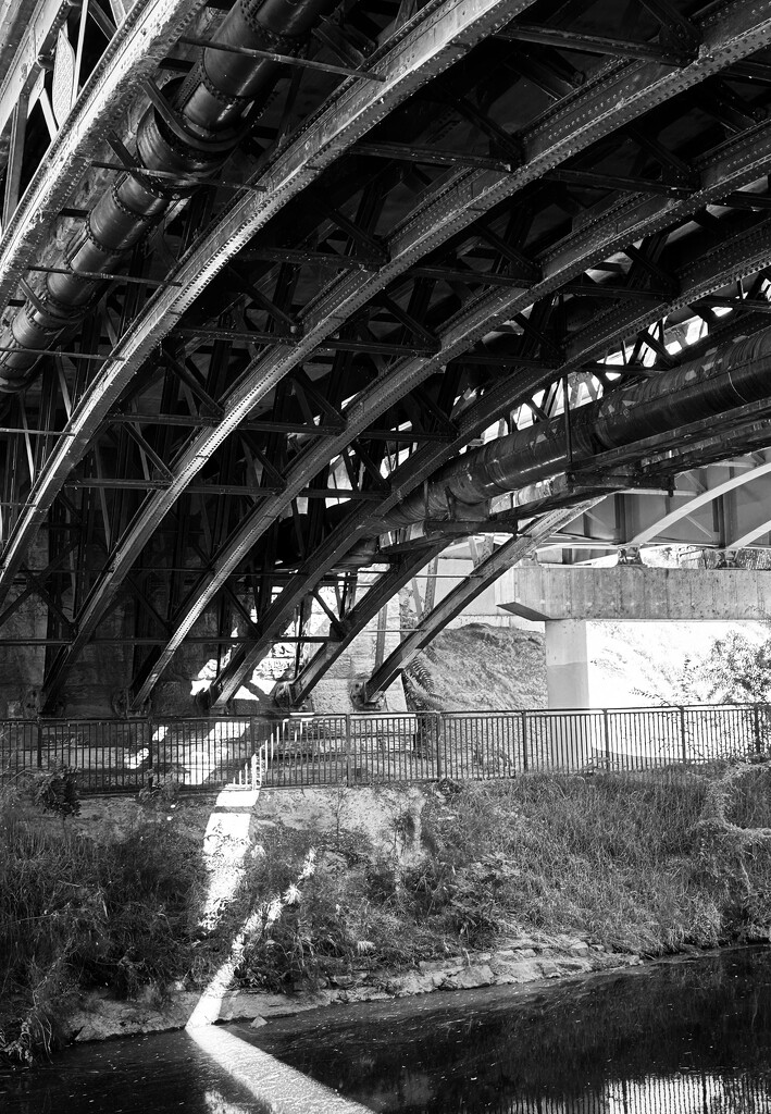 Under the bridge by 365projectorgmissdeb