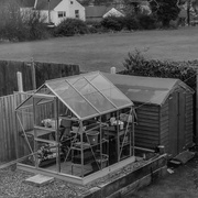 18th Jan 2024 - Relocated Greenhouse