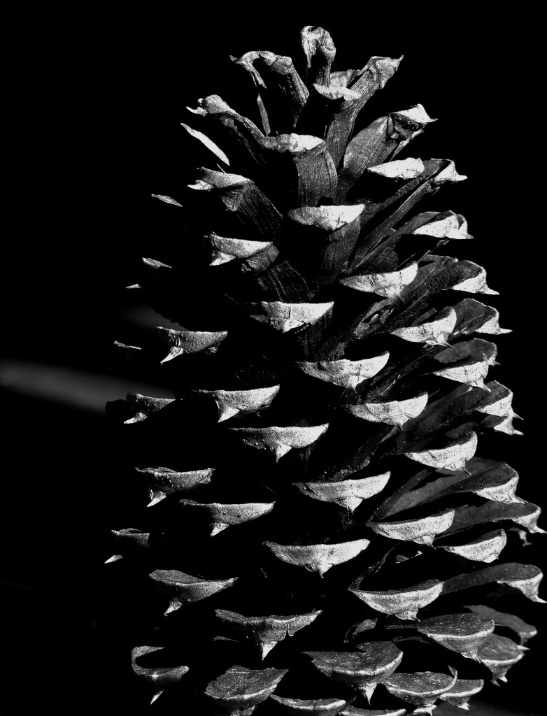Silent cone... by marlboromaam