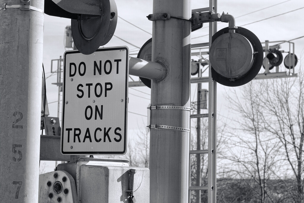 Do Not Stop on Tracks by lsquared