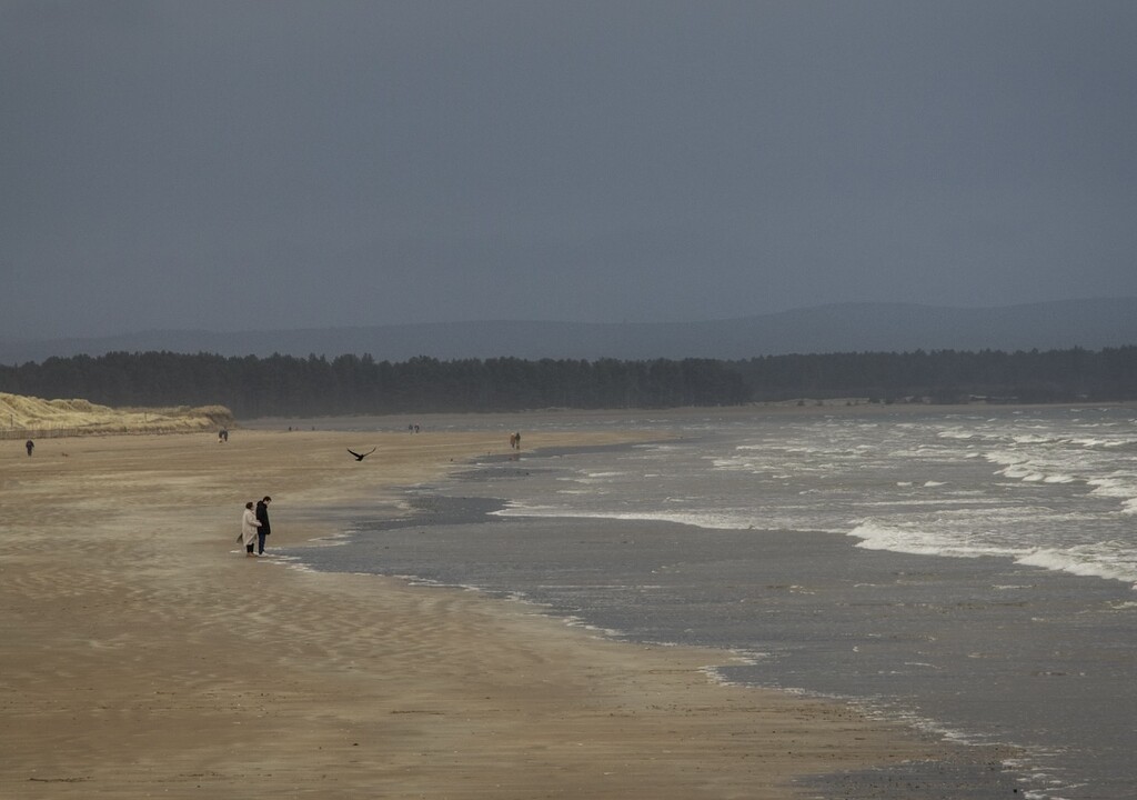 Oh, I do like to be beside the seaside! by billdavidson