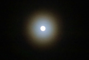 27th Jan 2024 - Halo moon.....
