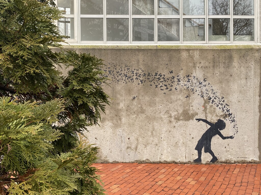 Boston street art by jeanbernstein