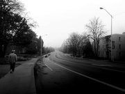27th Jan 2024 - ‘Twas a tad foggy this morning…
