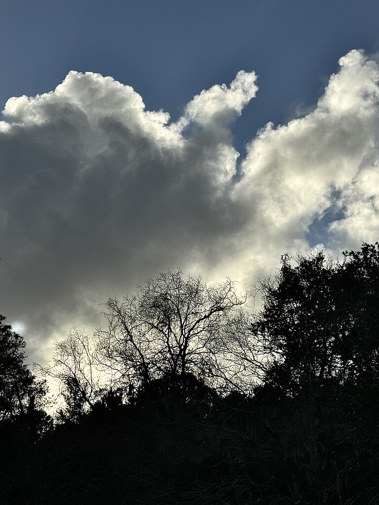 Puffy winter clouds by congaree