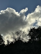 27th Jan 2024 - Puffy winter clouds