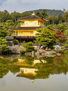 4th Nov 2023 - The Golden Temple, Kyoto. 