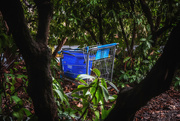 27th Jan 2024 - Another Abandoned Cart