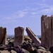Jetty Ruins, Flinders Bay P1268779 by merrelyn