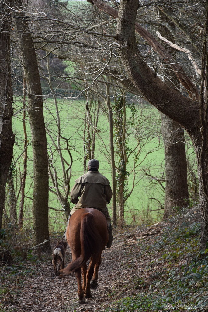 horse ride with Moka by parisouailleurs