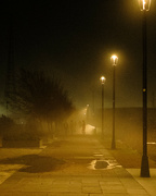 21st Jan 2024 - Into the mist