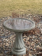 28th Jan 2024 - 0128birdbath