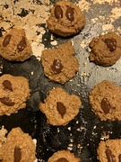 28th Jan 2024 - Cookie Madness 