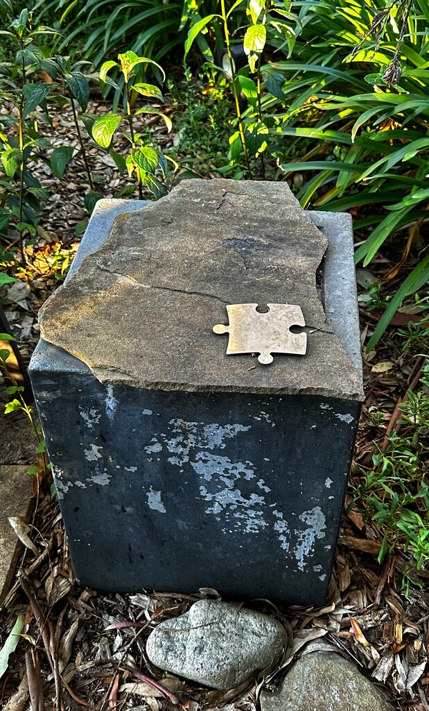Anyone missing a piece of their jigsaw puzzle? by joluisebeth