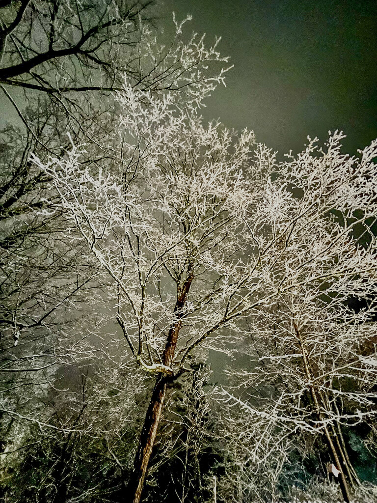 Wintery Night by corinnec