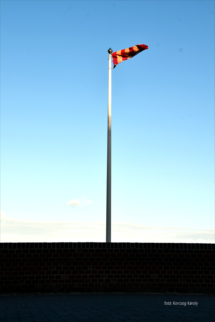 Flag in the wind by kork