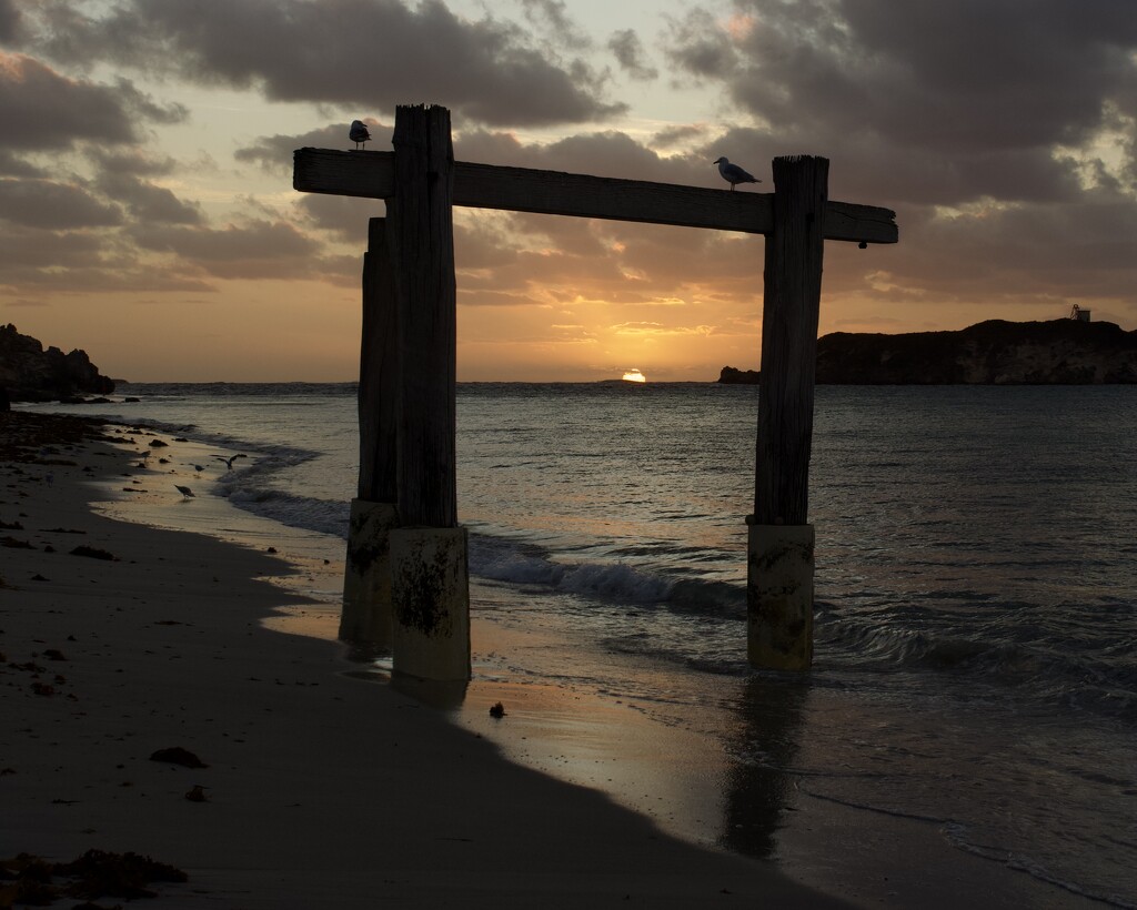 Finally, A Hamelin Bay Sunset P1284956 by merrelyn