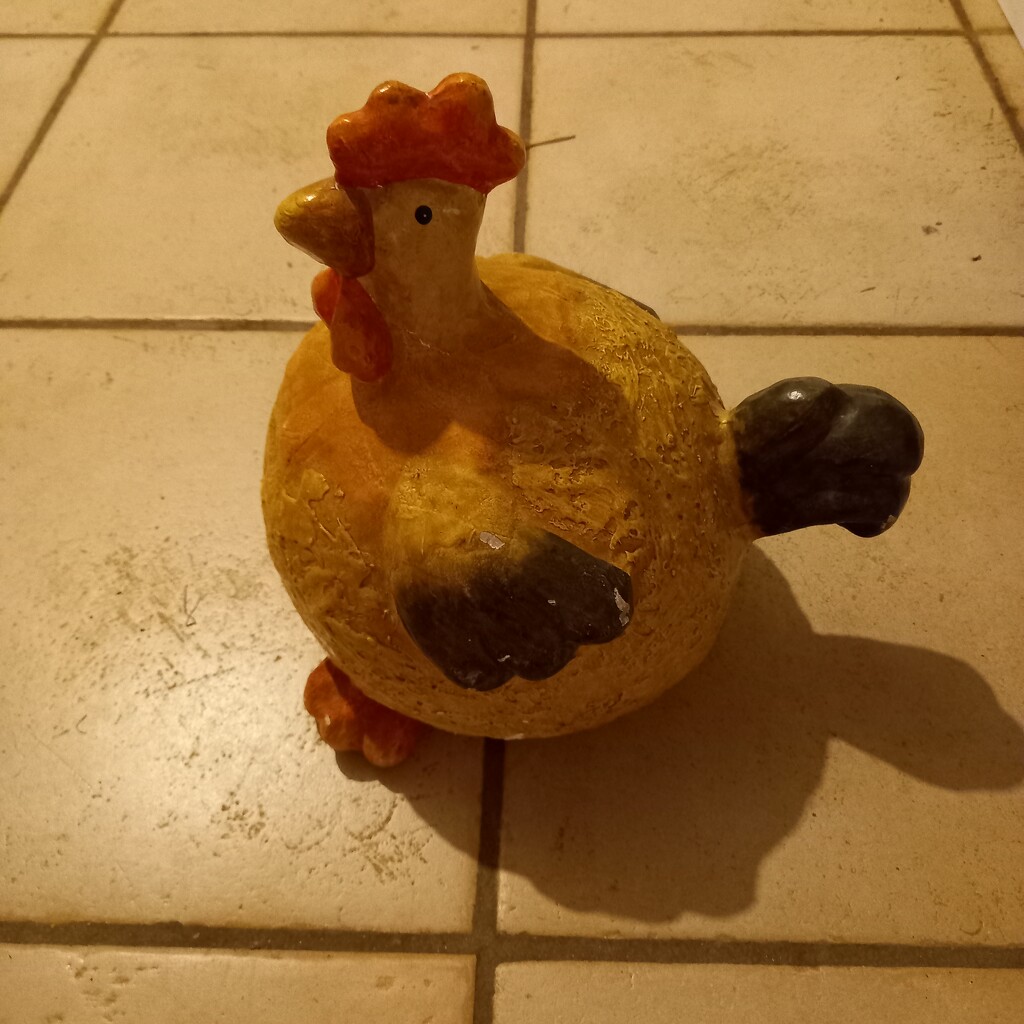 Chicken by paddington