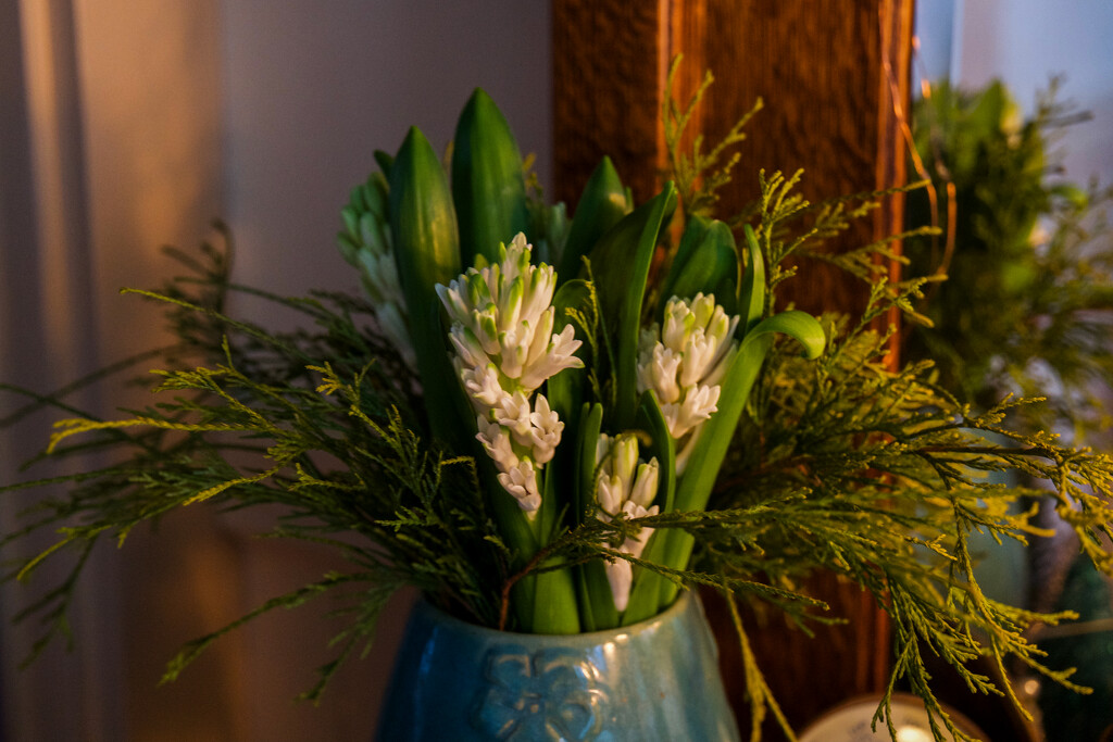 Hyacinths by berelaxed