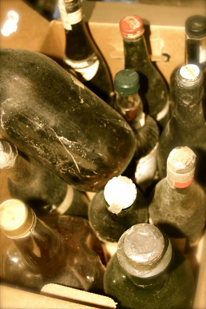 Old Bottles  by denisen66