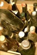 29th Jan 2024 - Old Bottles 