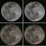 26th Jan 2024 - 98% Full Moon by Dave