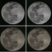 98% Full Moon by Dave by peekysweets