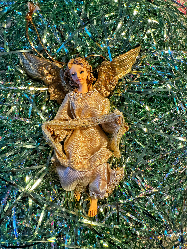 Angel.  by cocobella