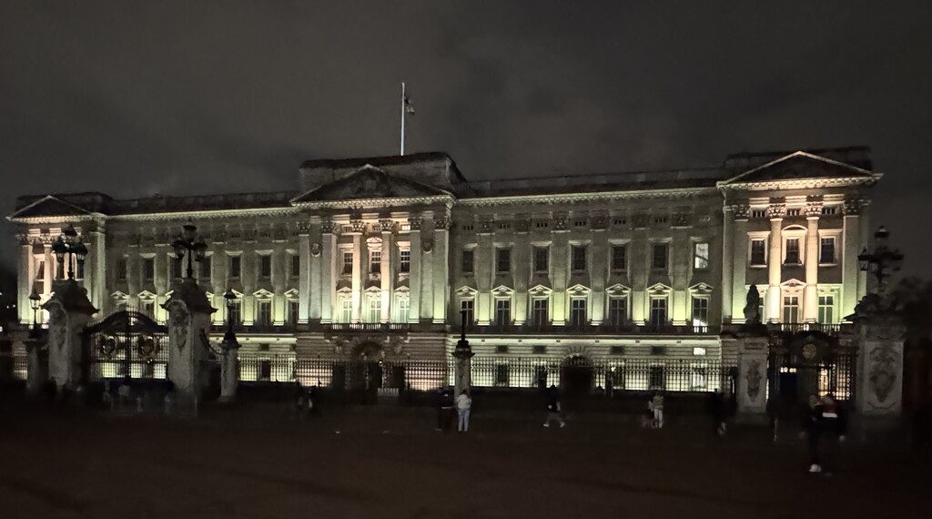 Buckingham Palace at night  by jeremyccc