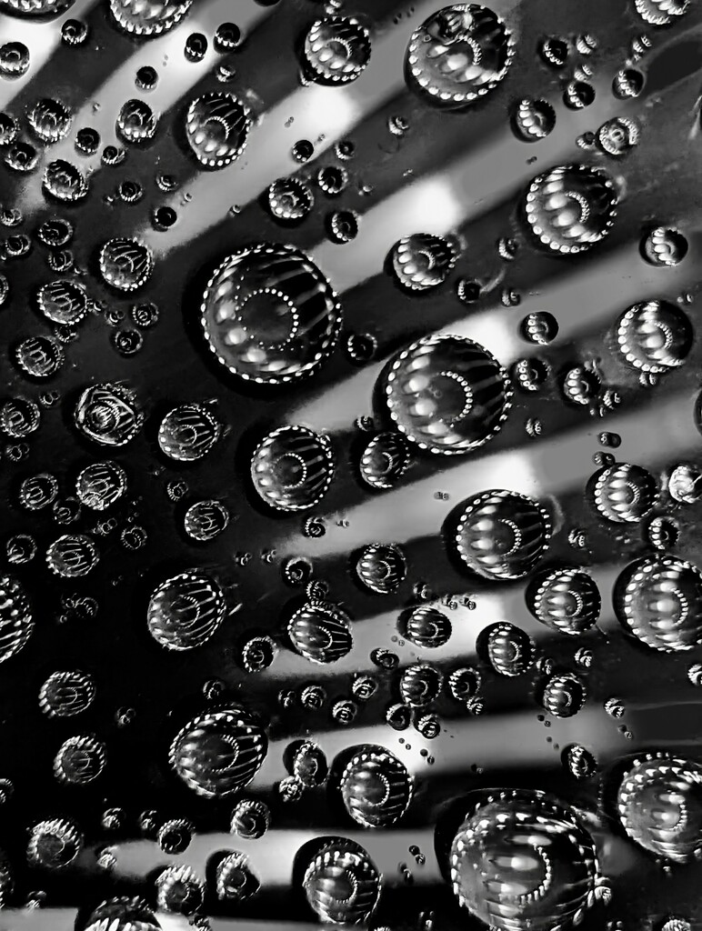 Water Drops  by photohoot