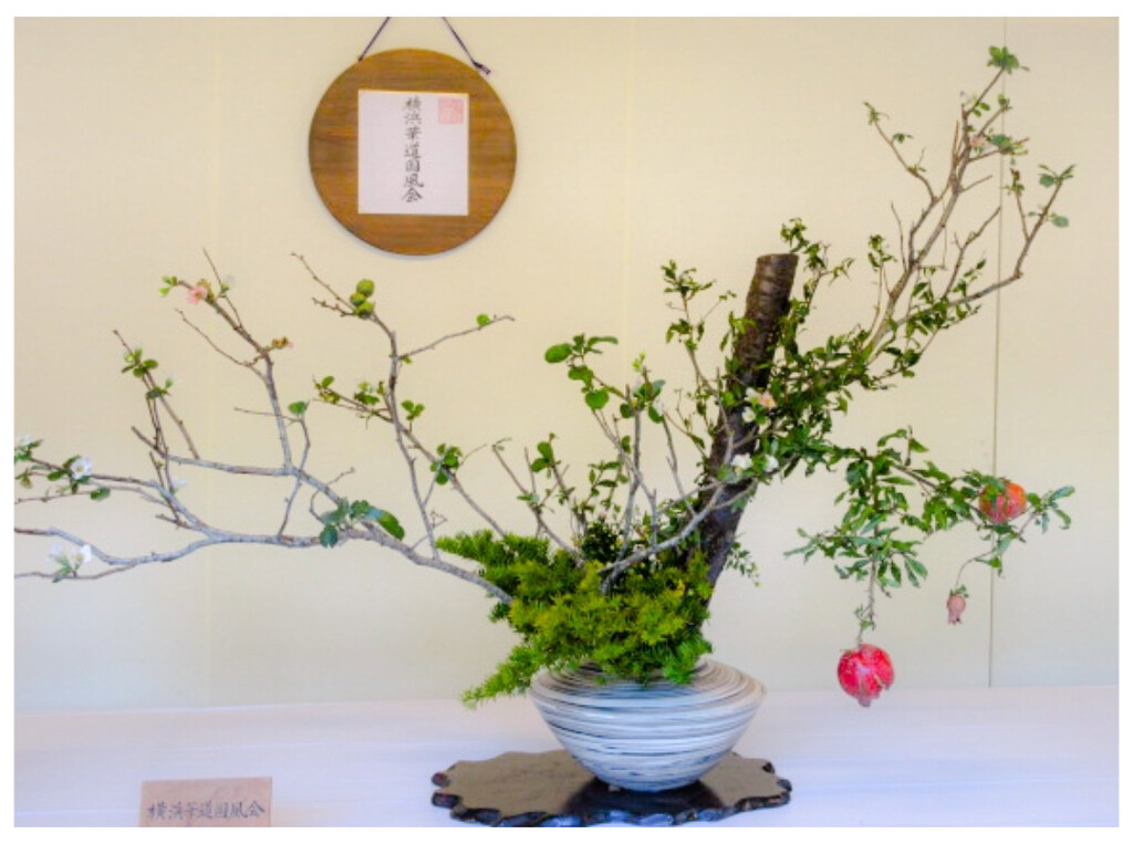 Ikebana by zilli
