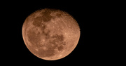 29th Jan 2024 - One More Moon Shot!